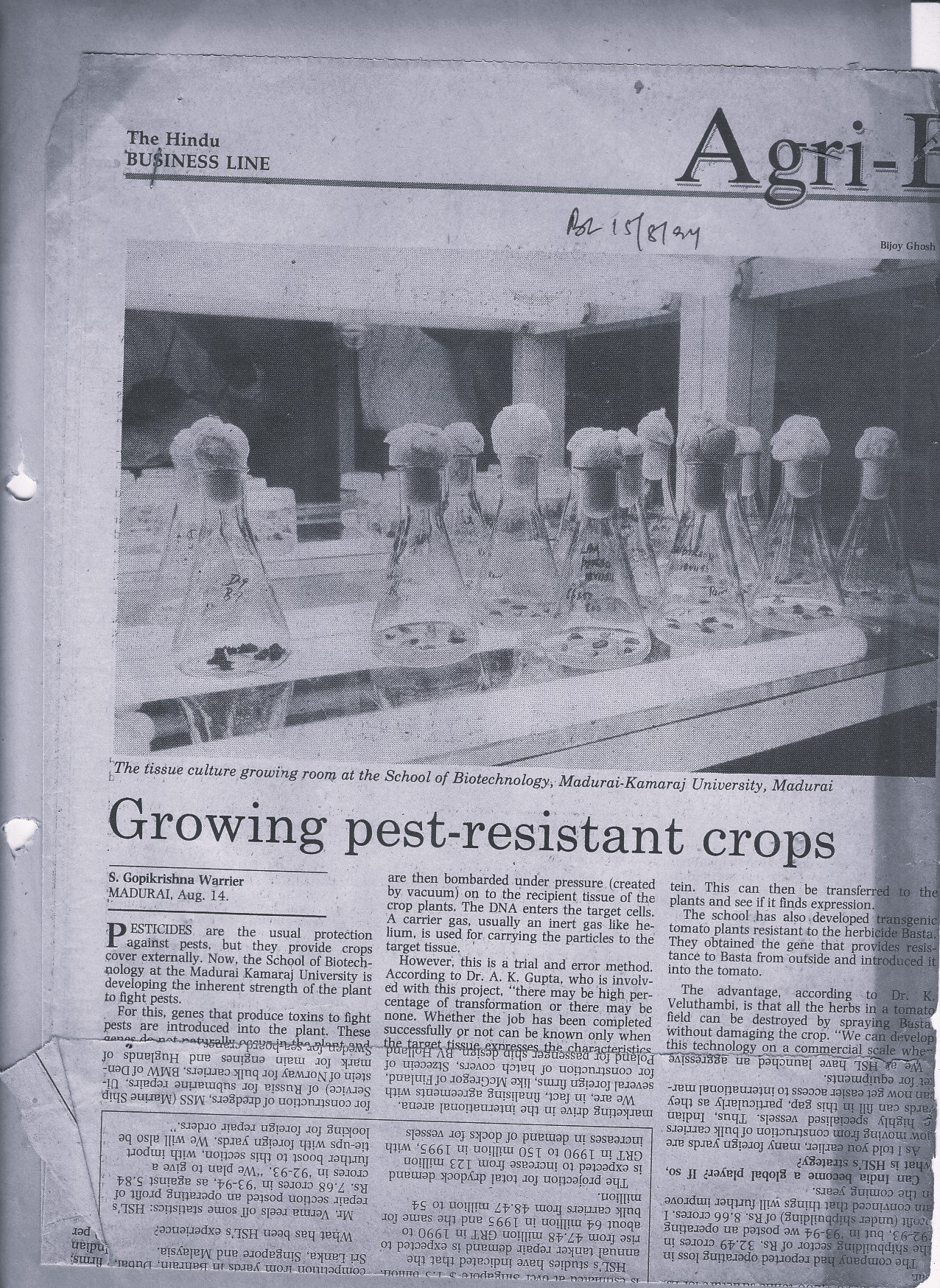 Growing pest-resistant crops