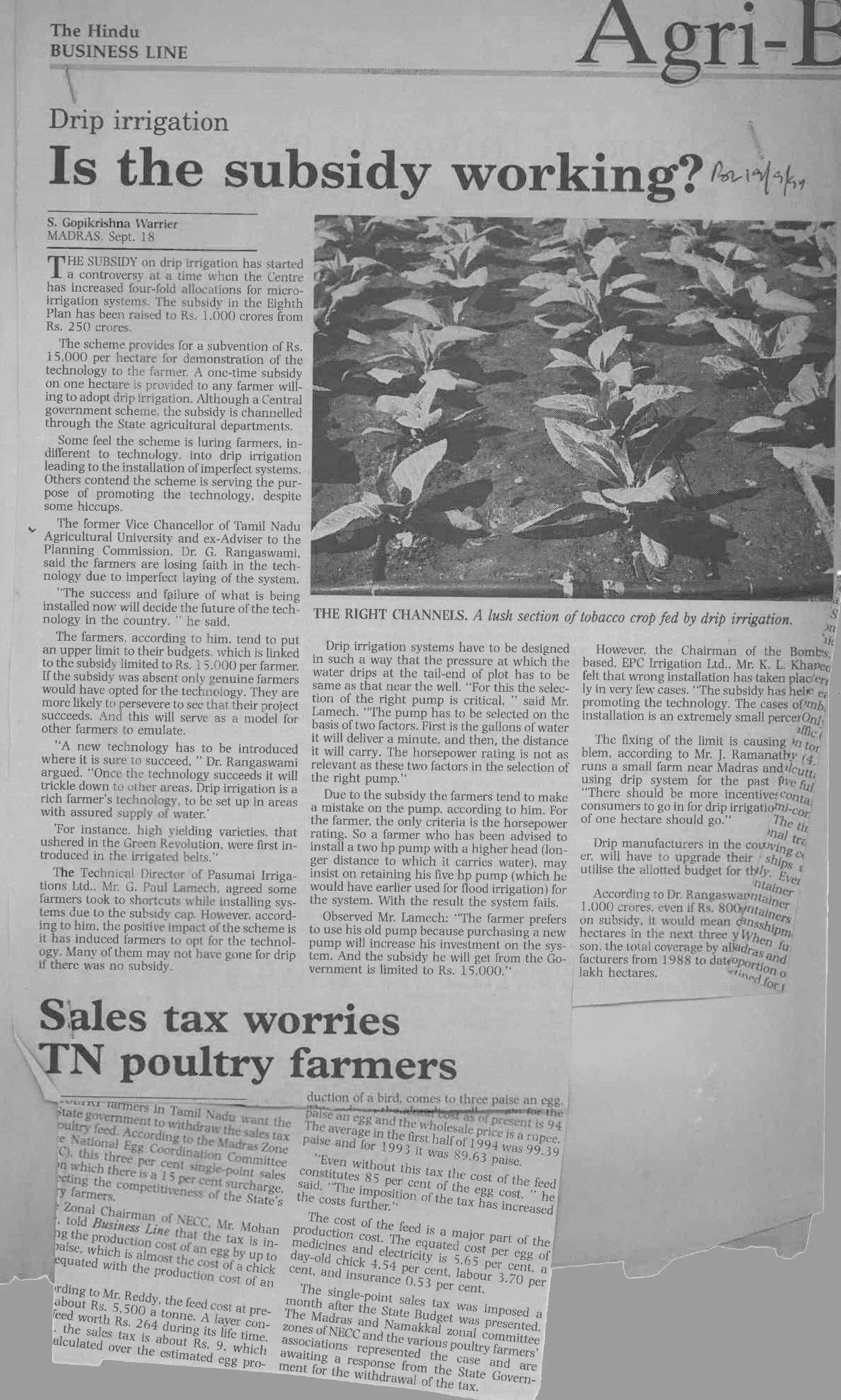 Drip irrigation Is the subsidy working?