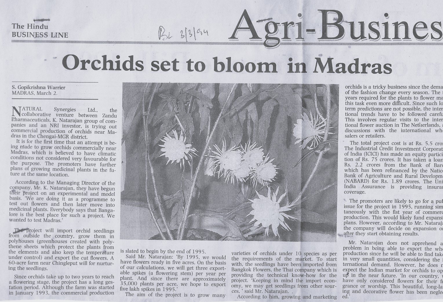 Orchids set to bloom in Madras