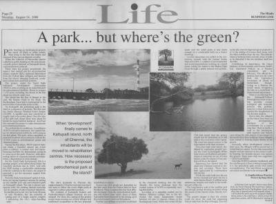 A park... but where's the green?