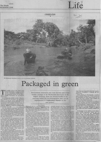 Packaged in green
