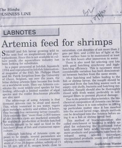Artemia feed for shrimps