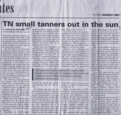 TN small tanners out in the sun