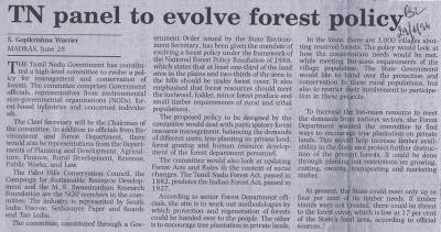TN panel to evolve forest policy