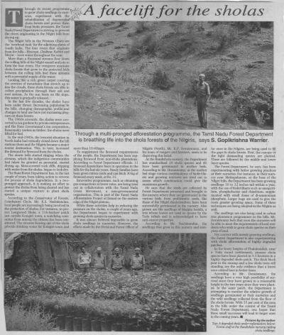 A facelift for the sholas