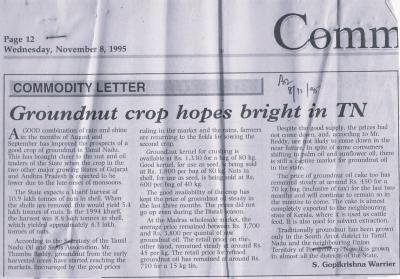 Groundnut crop hopes bright in TN